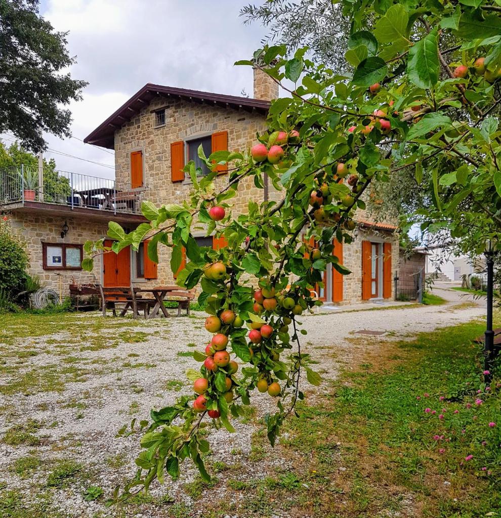 Agriturismo Il Falco del Monte Fumaiolo photo 4