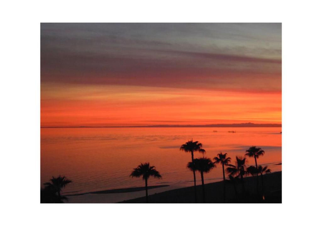 Sonoran Sea Resort photo 1