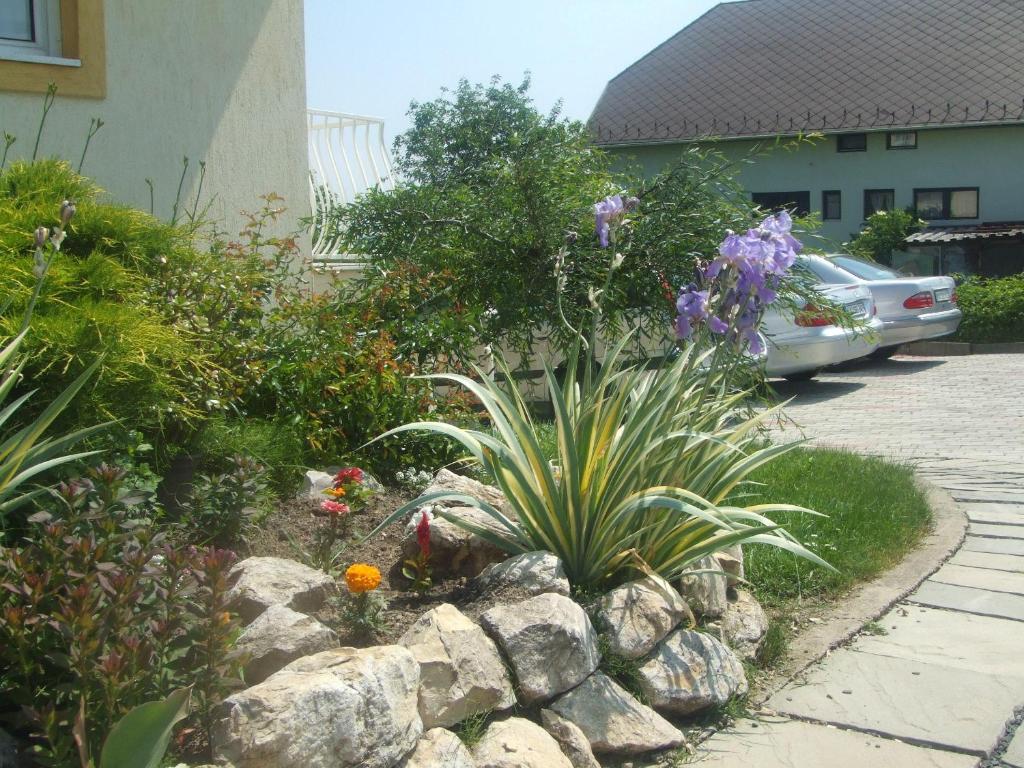 Апартаменты (Апартаменты с балконом), Flora Villa Apartments with terrace