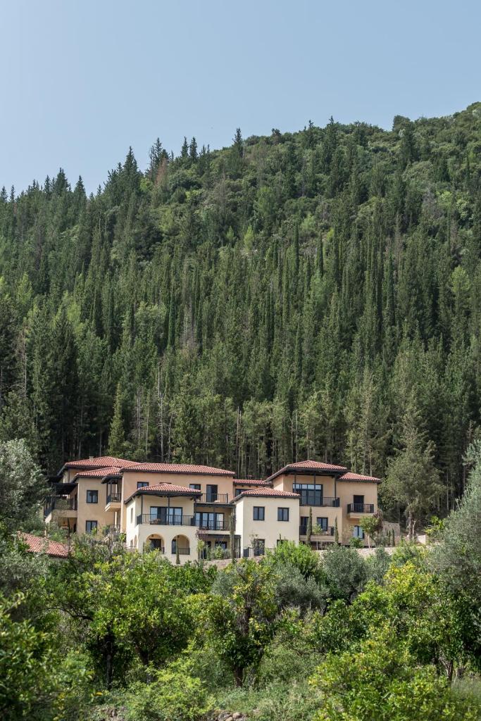 Euphoria Retreat - A Holistic Wellbeing Destination Spa photo 1