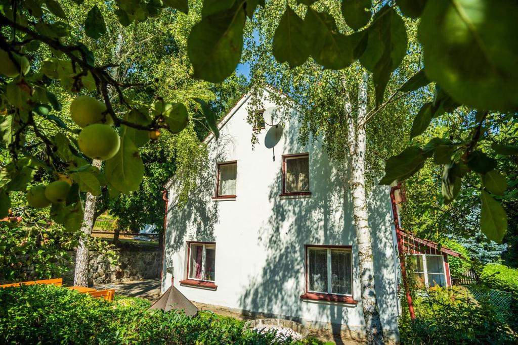 Silver Linden Cottage photo 1