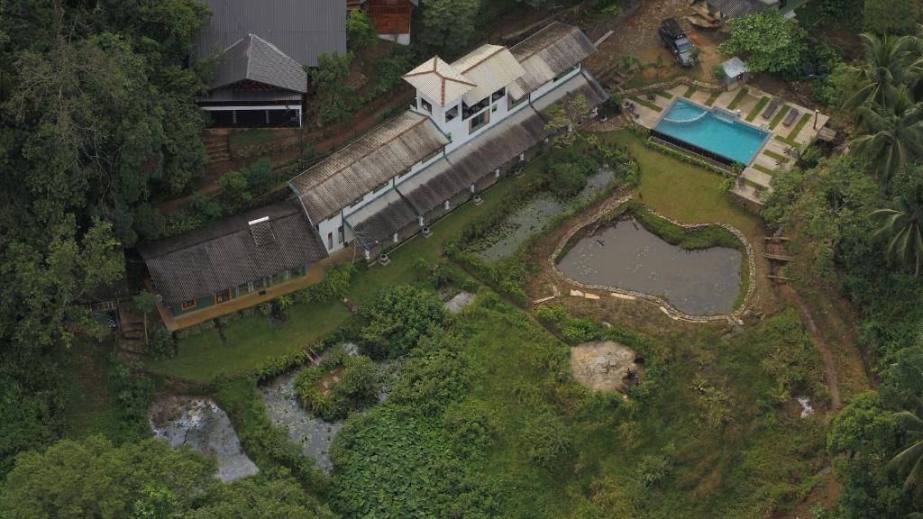 Explore Sinharaja Rain Forest Tour Camp photo 1