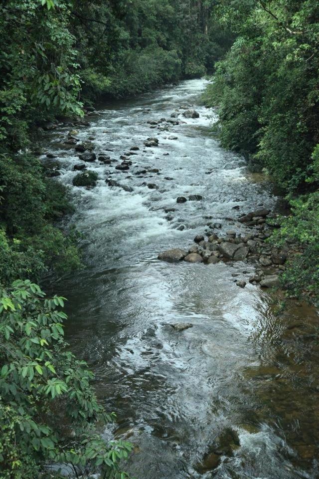 Explore Sinharaja Rain Forest Tour Camp photo 3