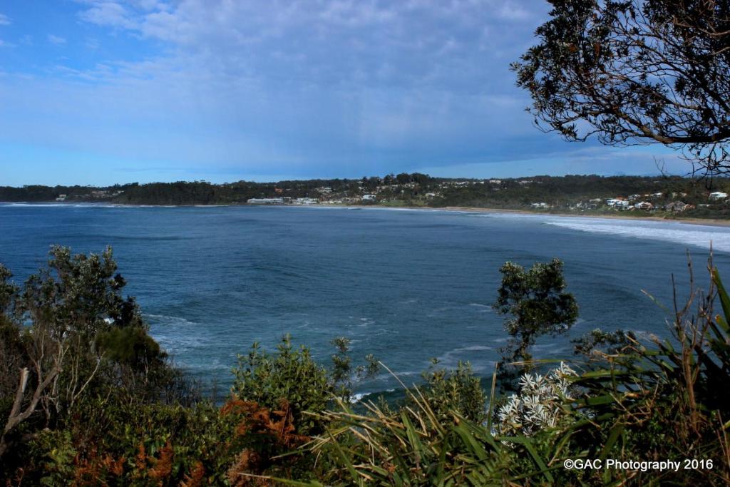Mollymook Cove Apartments photo 1