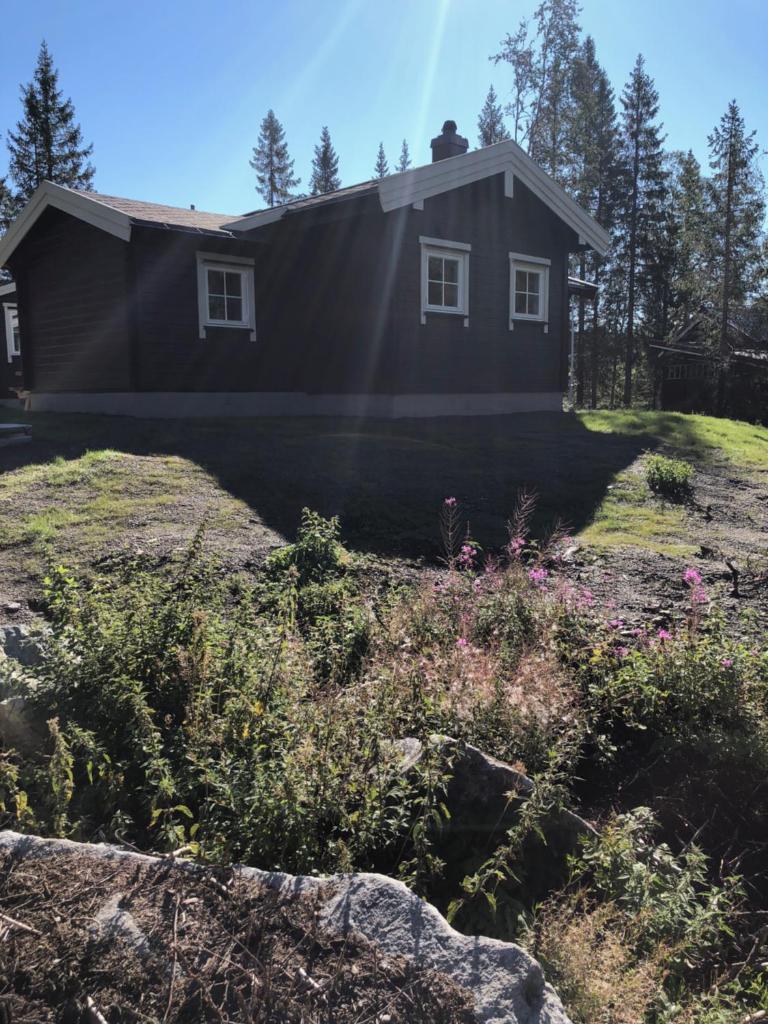 Fresh Familie Hytte Hemsedal photo 1