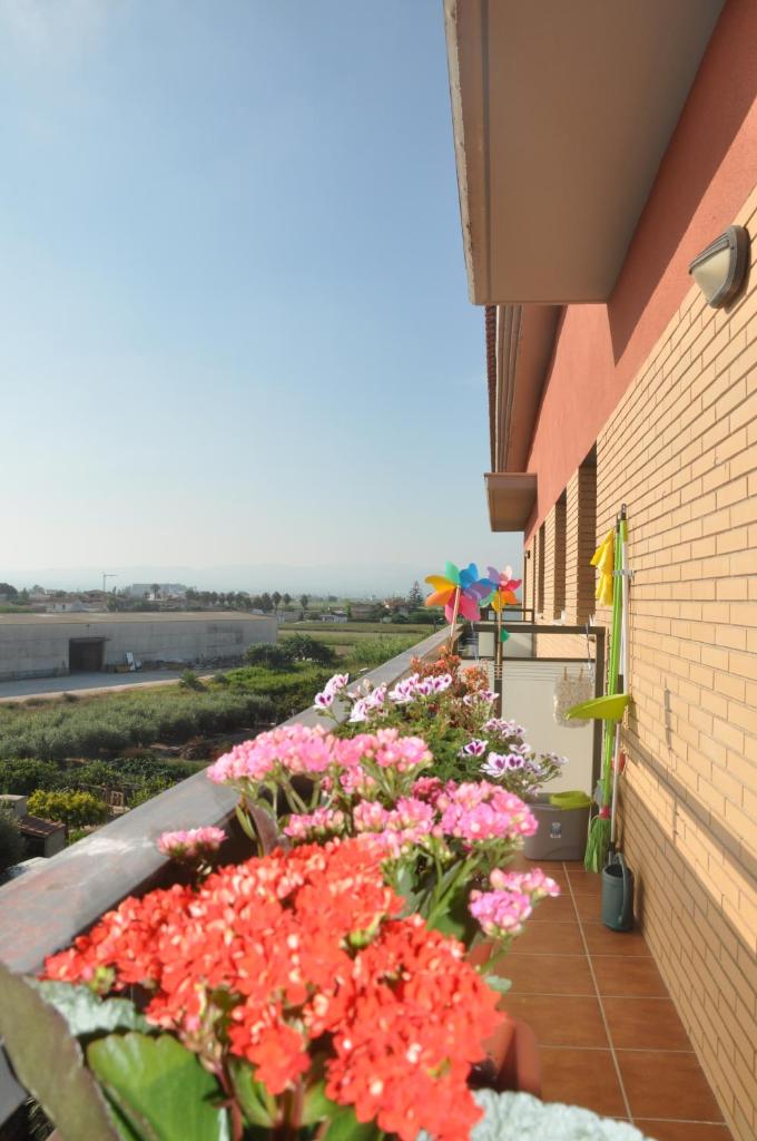 Duplex double terrasse et balcon au Cœur du Delta de l'Ebre photo 2