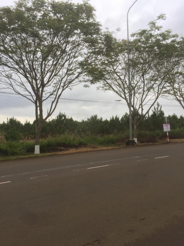 An Ngọc Linh Hotel