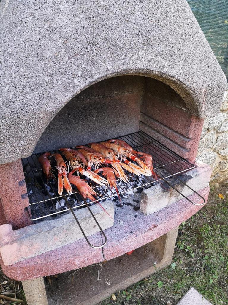 Le Casette Sul Mare photo 4