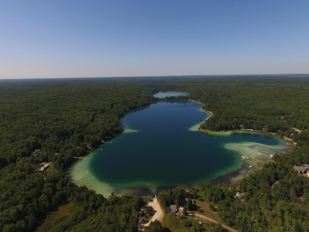 Log Cottage on Blue Lake image