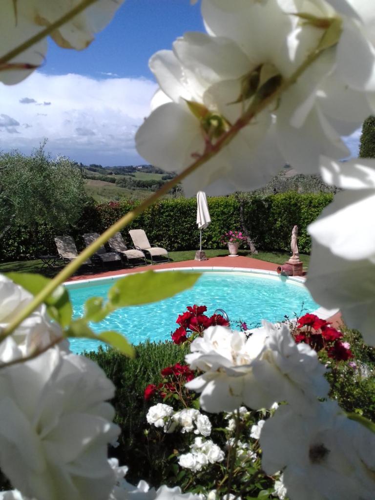 Villa Antica Sosta Renai photo 4