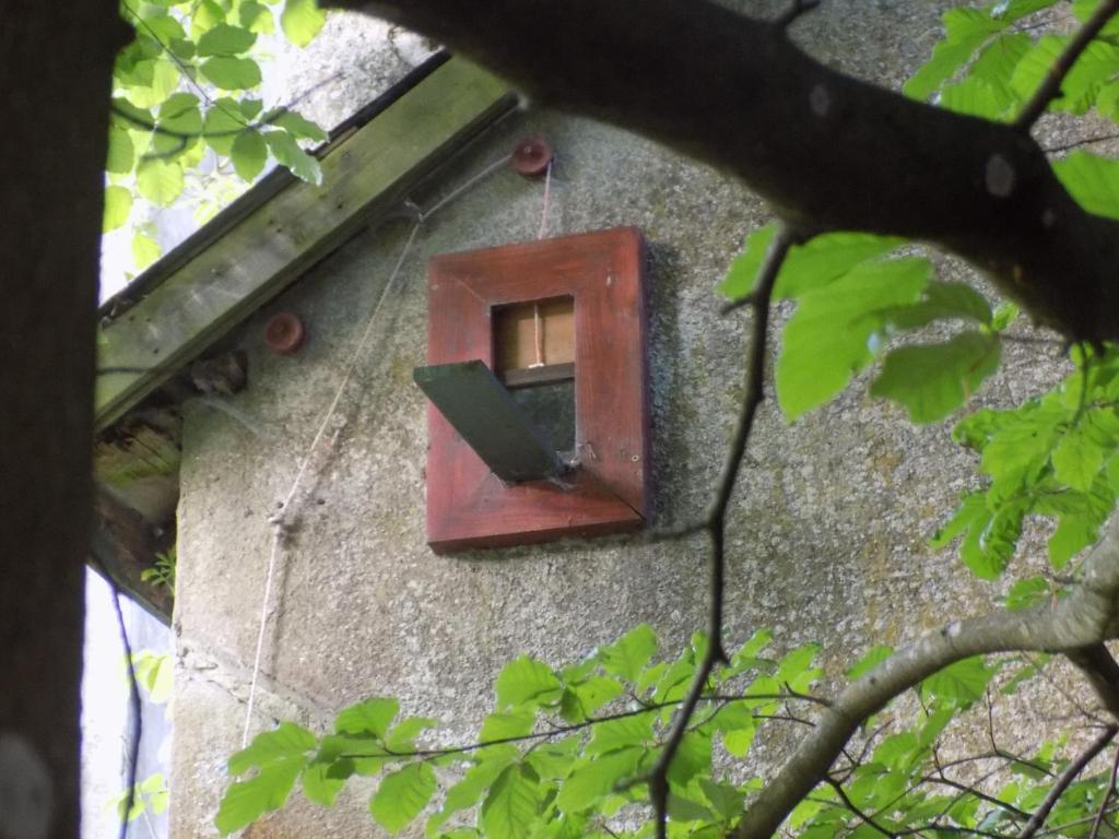 B&B Les Tilleuls photo 3