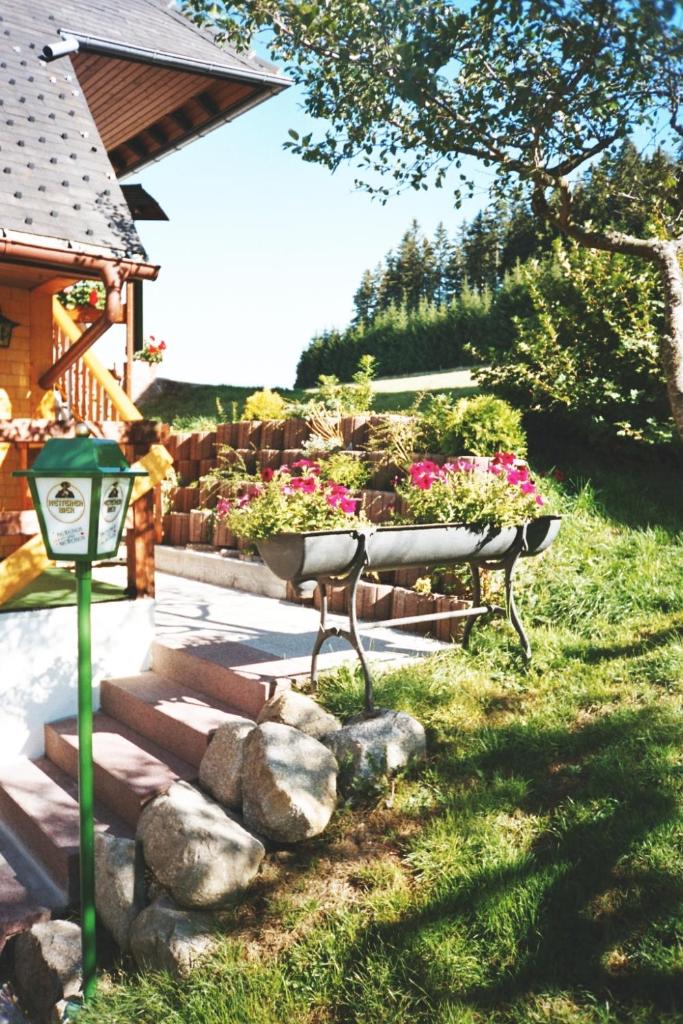 Akzent Hotel Kaltenbach photo 1