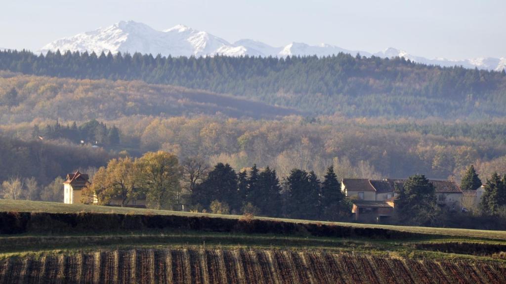 Maison Tranquil photo 4