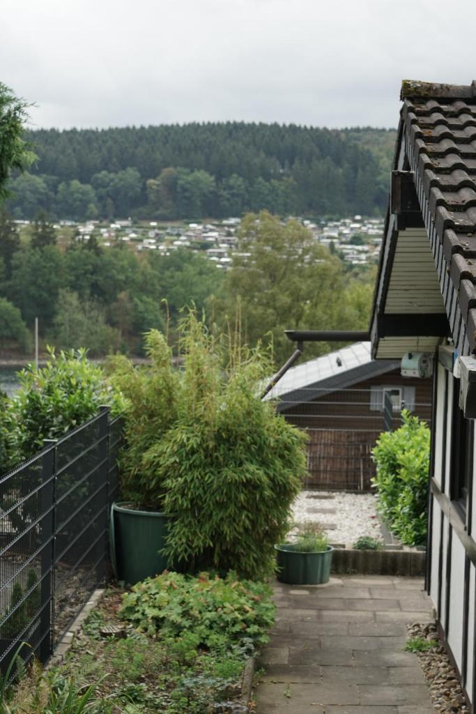 Ferienhaus an der Lister photo 4