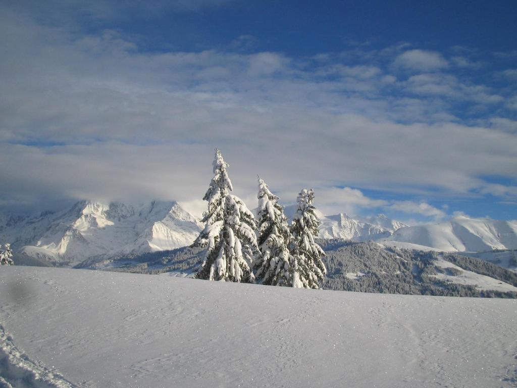 Alp-Hotel - 싱글룸