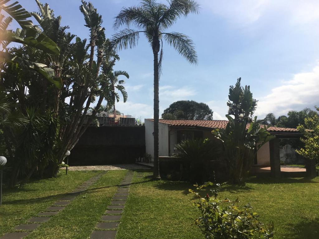 Villa Andrea photo 1