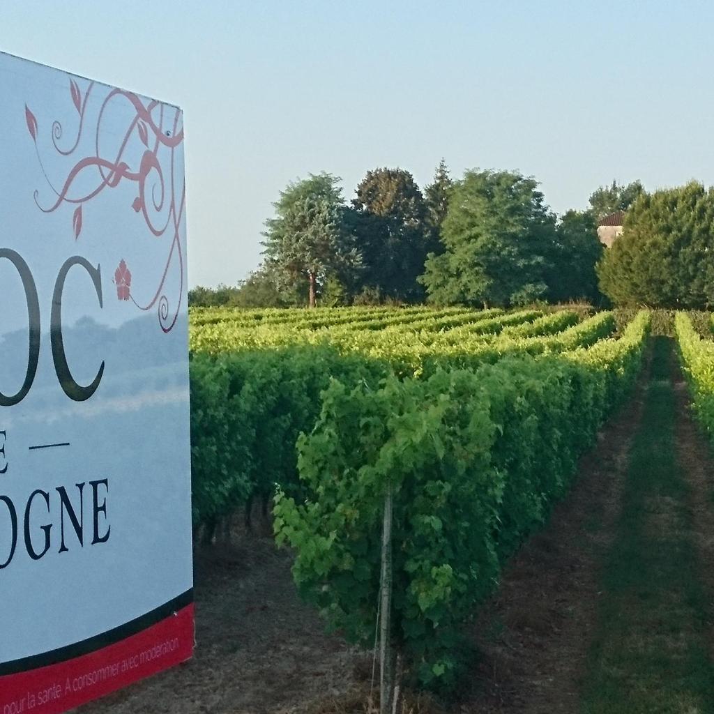 Domaine de Paguy photo 3
