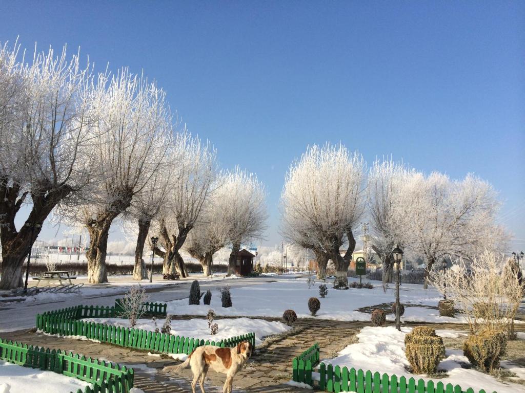 Iksir Resort Town photo 4