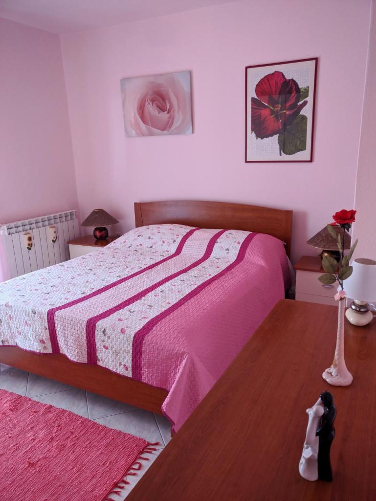 Anica Apartment photo 1