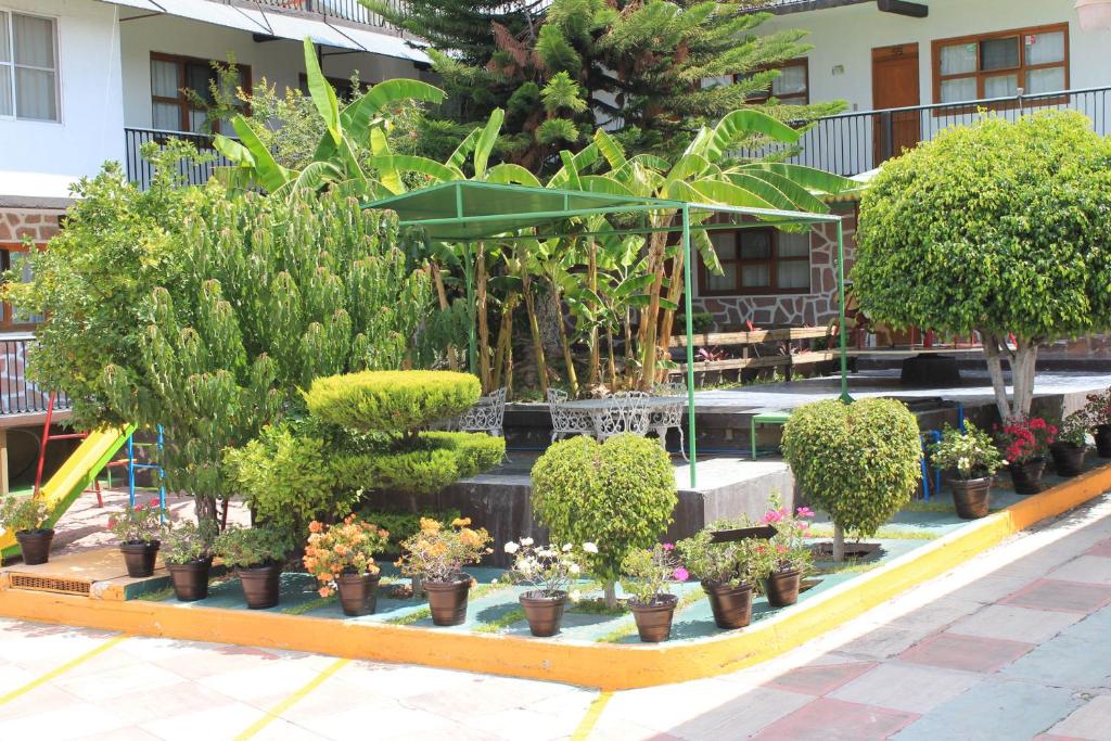 Hotel Avenida Ixmiquilpan photo 2