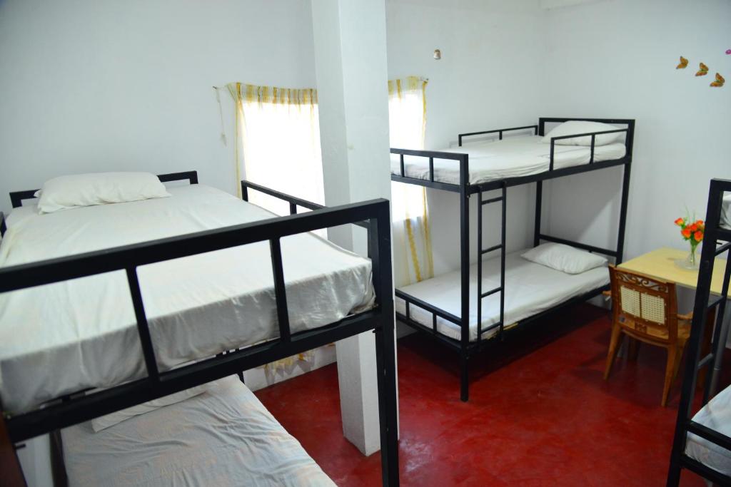 Lucky Beach Front Hostel photo 4