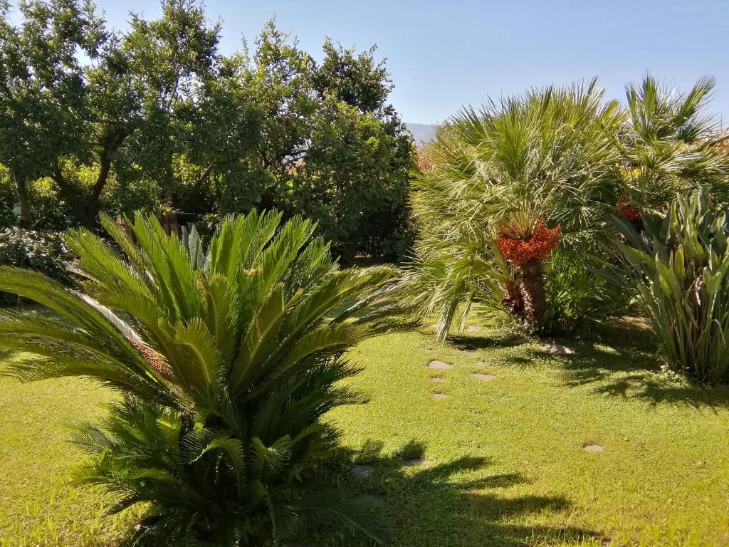 Casa Marinella photo 3