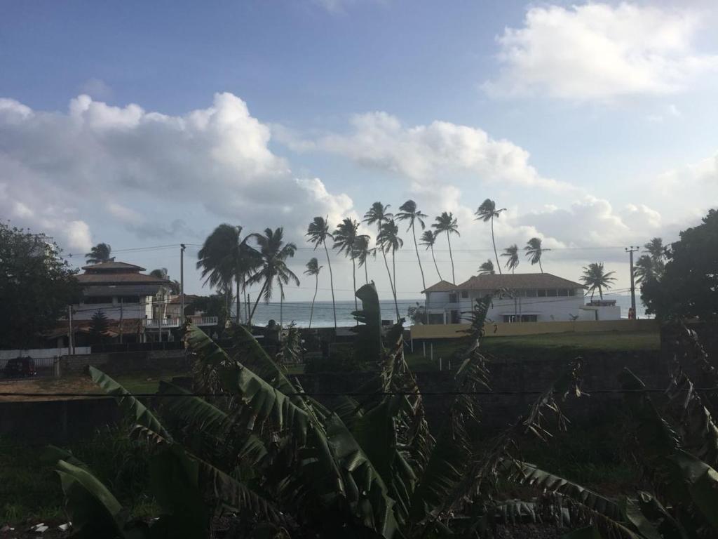 Ocean on house photo 4