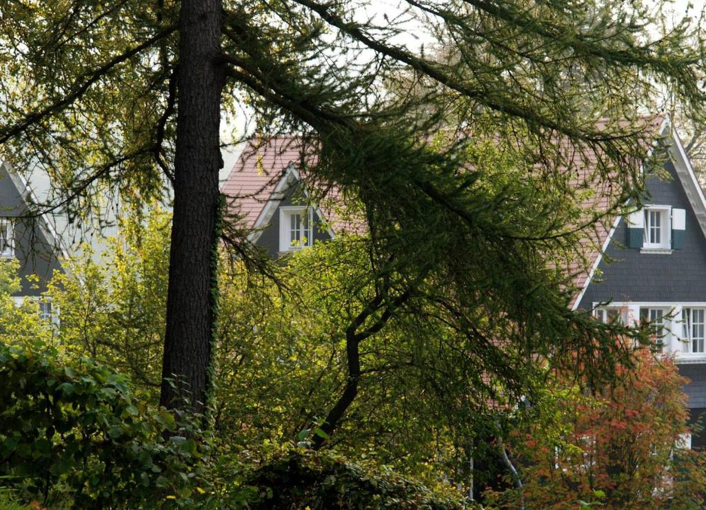 Wildbach Appartement photo 4