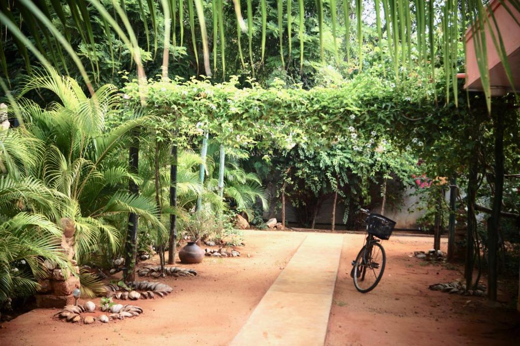 Allens home stay photo 4