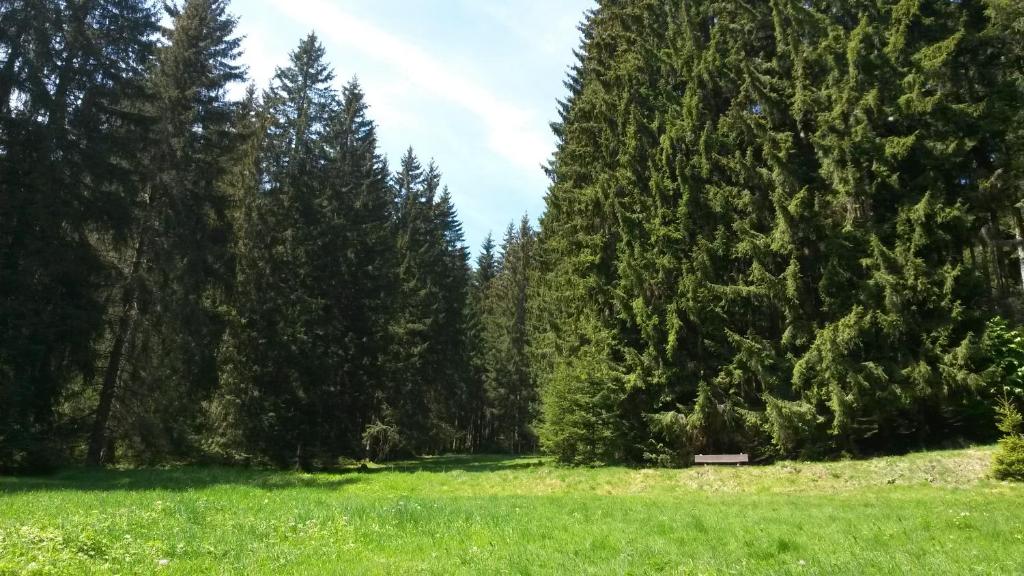 Ferienhaus Bad Hundertpfund Typ C photo 3