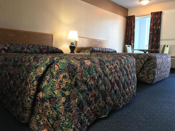 American Motel photo 3