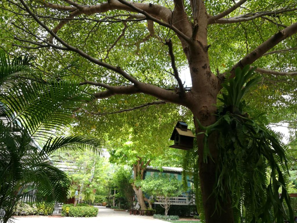 Bann Vimansamutr photo 1