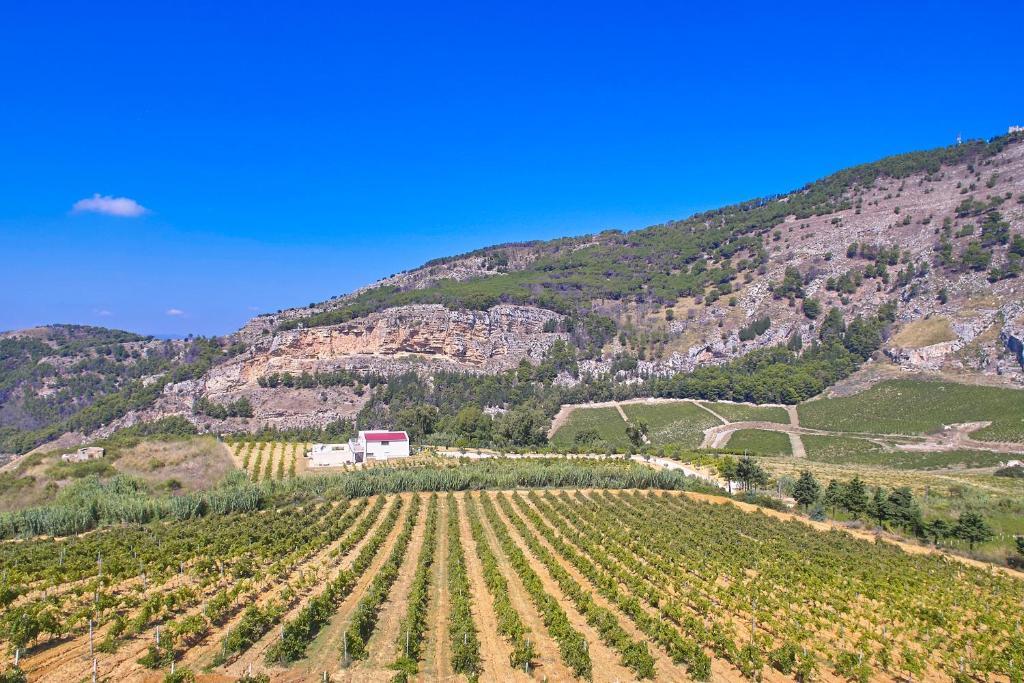 Villa Bonifato vista sulle campagne e sul mare siciliano alloggio per uso turistico photo 1