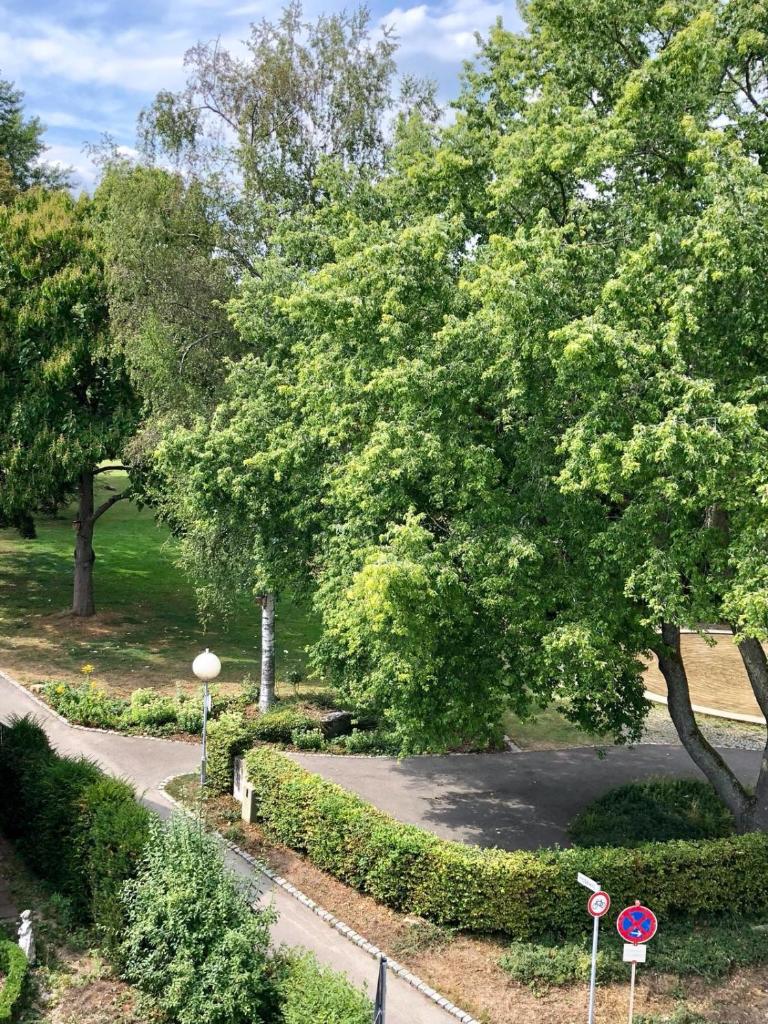 Одноместный (Одноместный номер), Hotel Am Park