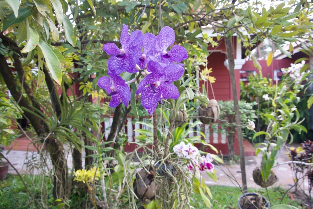 Phoumrumduol Bungalow photo 2