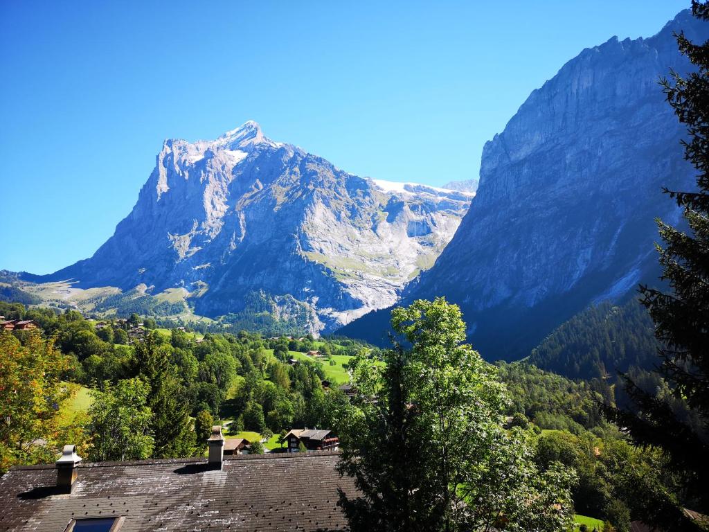 Hotel Gletscherblick Grindelwald photo 1