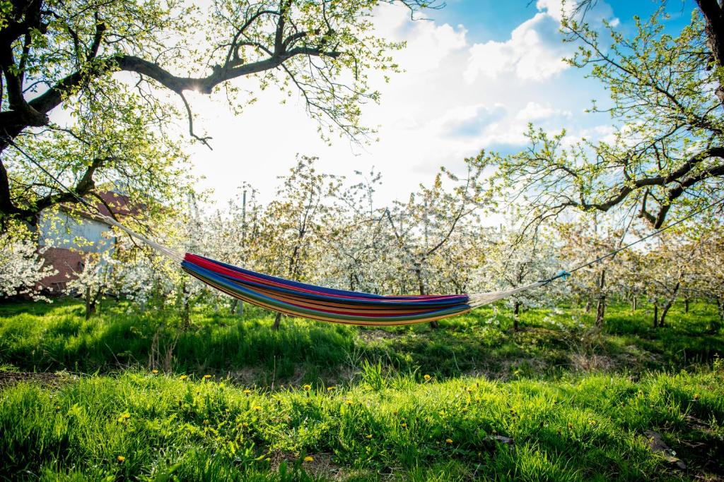 Deichkrönchen Ferienwohnung Altes Land Hamburg - Tap to explore photos