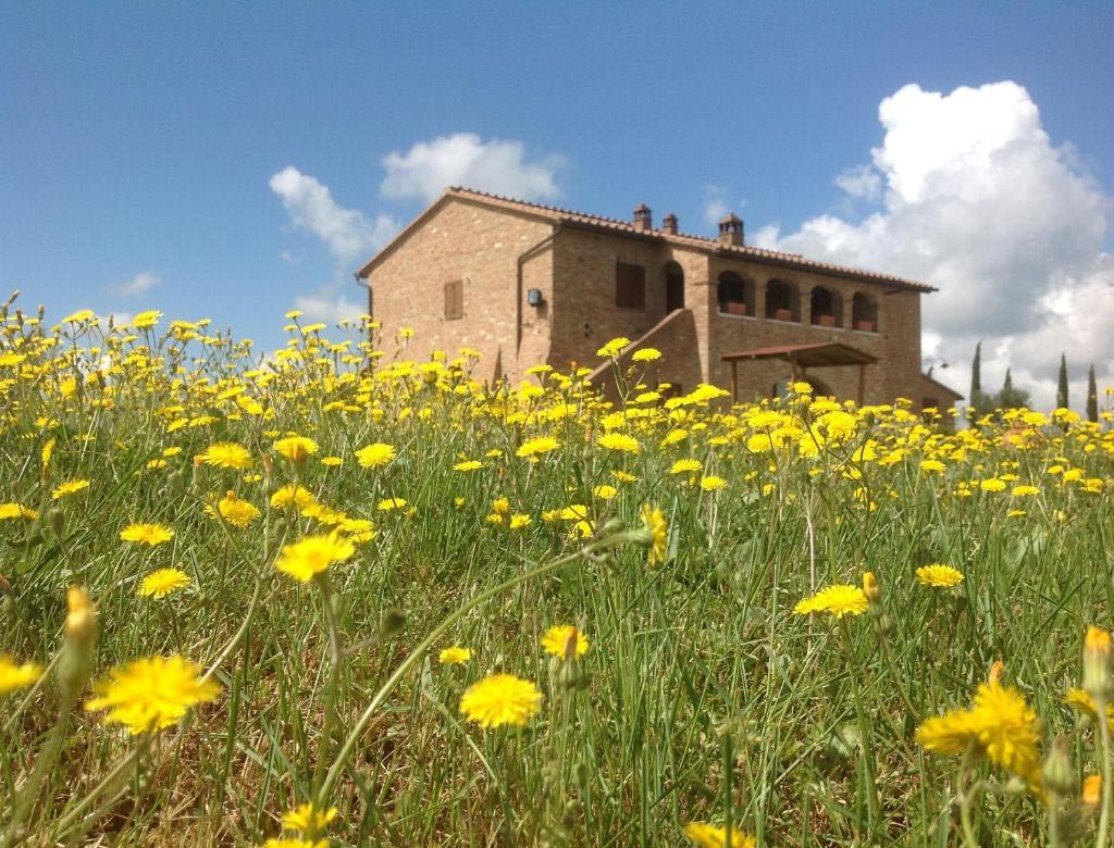 Podere Fornaci photo 3