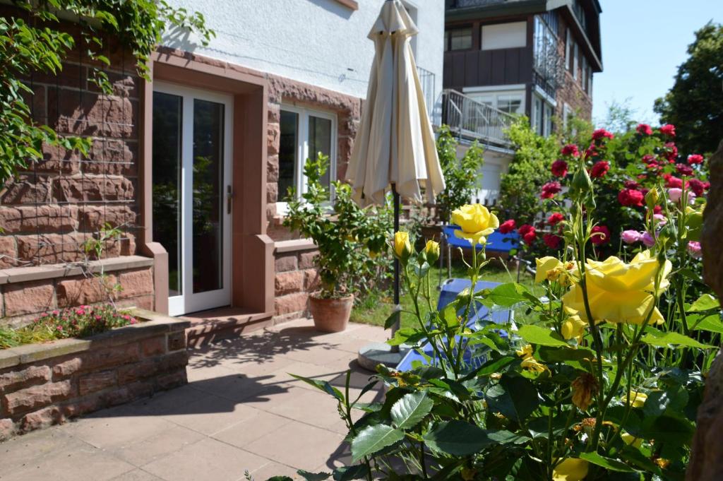 Panorama-Blick Miltenberg, 3 Pers., zentr., am Main, Terrasse, Bootverleih, P photo 1