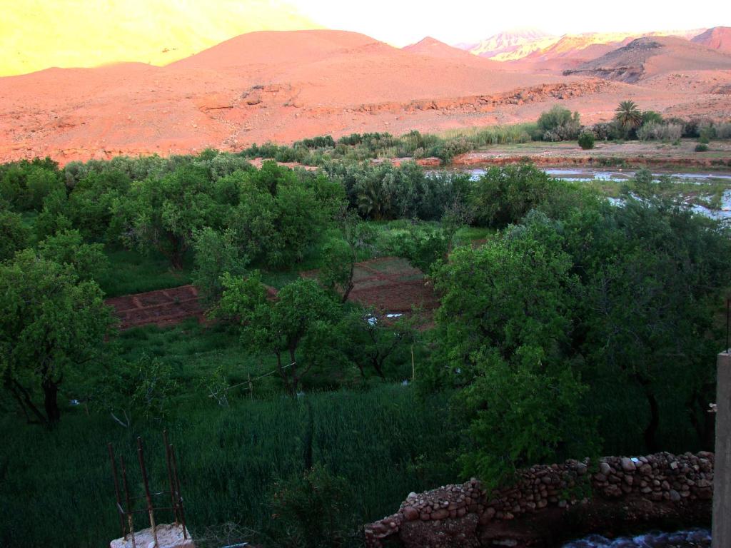 Dar Bilal photo 4