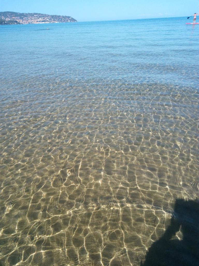 villetta nel verde vicino spiaggia photo 2
