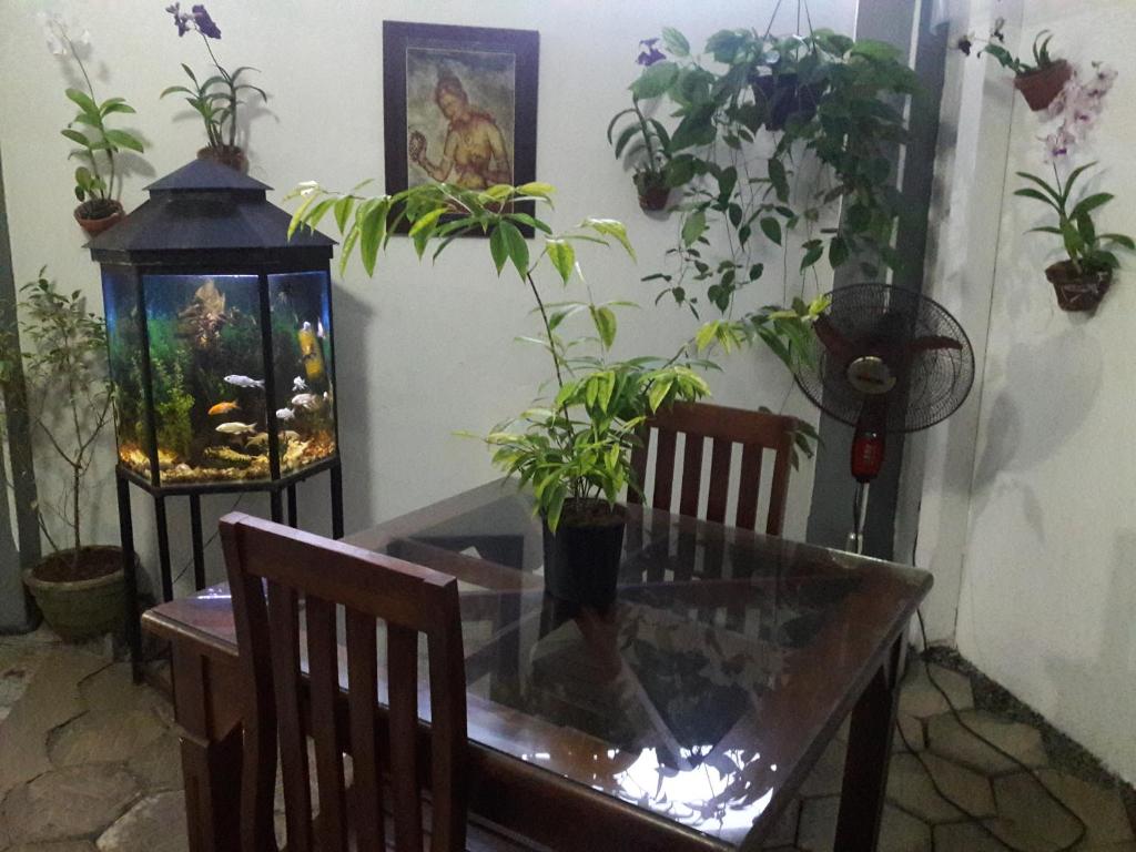 Aayu's Guest photo 2