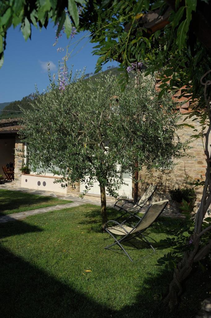 Dimora delle Camelie photo 3
