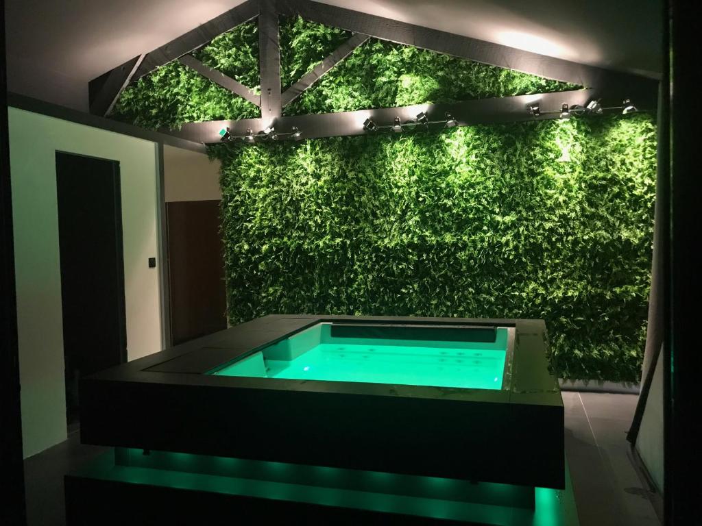 Loft piscine et spa provence, Vaucluse