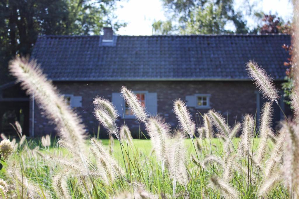 De Hoog Weyen photo 1