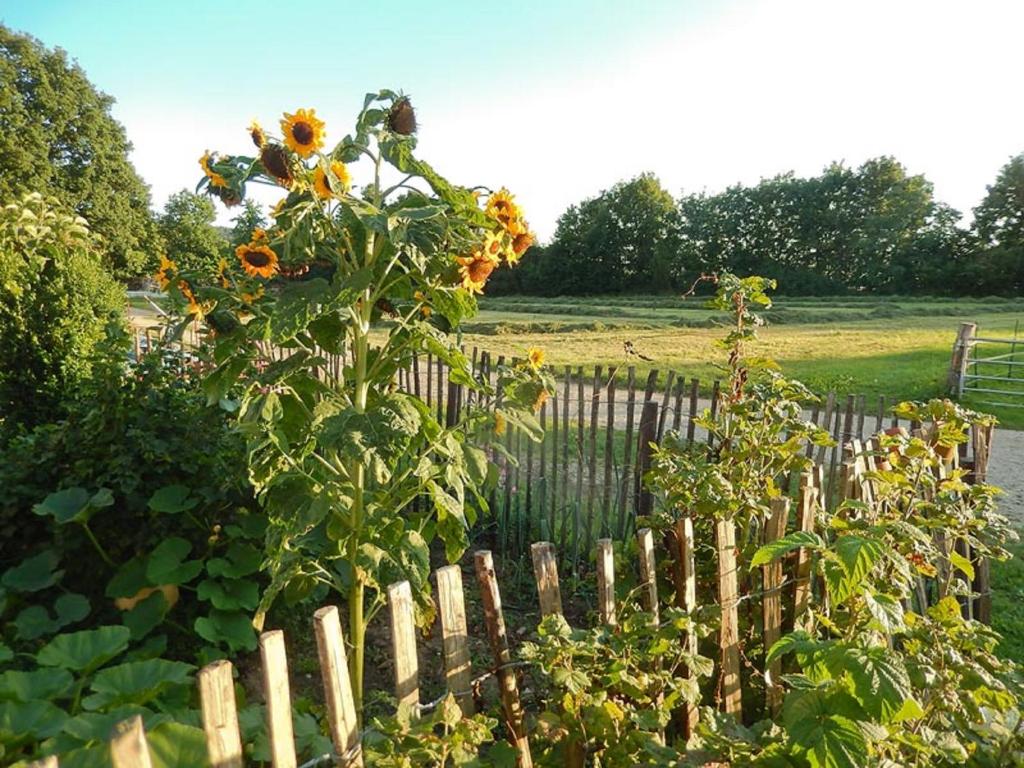 Bio-Ferienhof Scheckenbauer photo 4