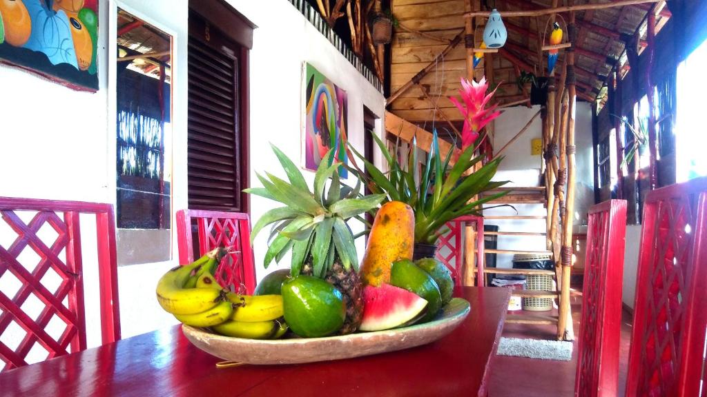 Hostel La Ballena Backpacker photo 3