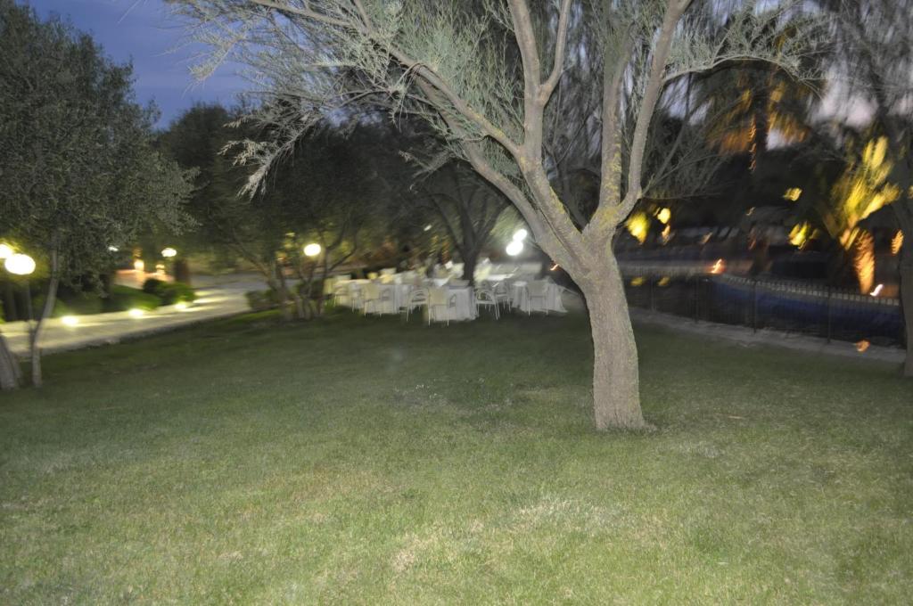 Tenuta Santa Lucia photo 4