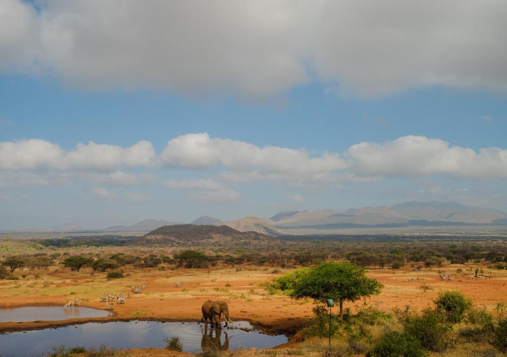 Kilaguni Serena Safari Lodge photo 3