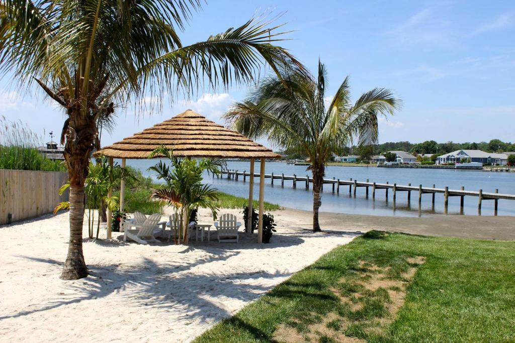 The Bay Resort photo 4